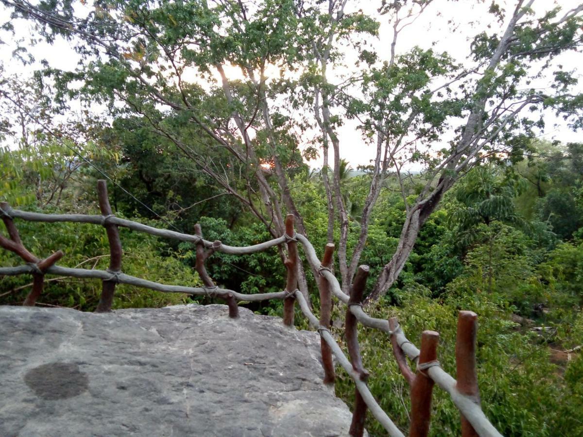 Inn On The Rock Daambulla دامبولا المظهر الخارجي الصورة